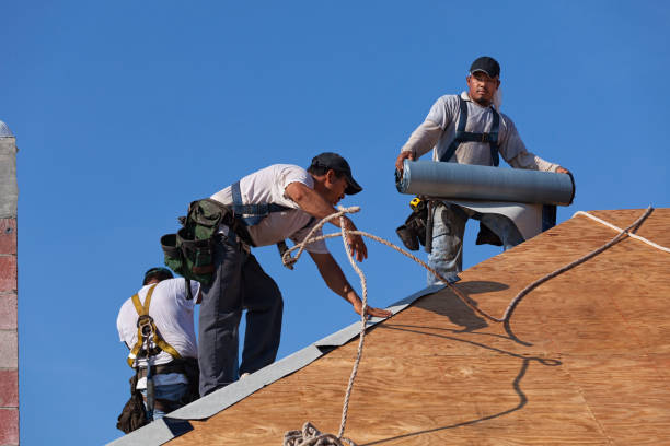 Best Residential Roofing Contractor  in Seville, FL