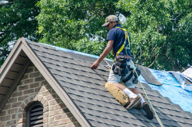 Best Roof Replacement Cost  in Seville, FL